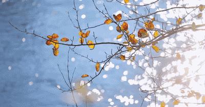 新余常年风向变化规律_新余春节天气预报_新余天气预警信号