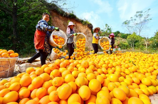 气象里的乡愁_赣州本地气候特征详解_赣州客家文化