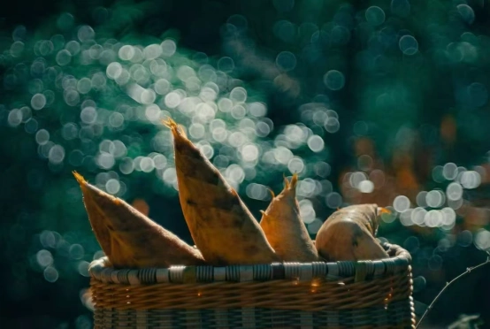 气象里的乡愁_赣州本地气候特征详解_赣州客家文化