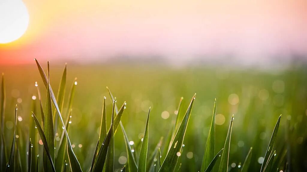 河南降雨量增多趋势_开封极端天气常年分布规律_河南雨带北移现象