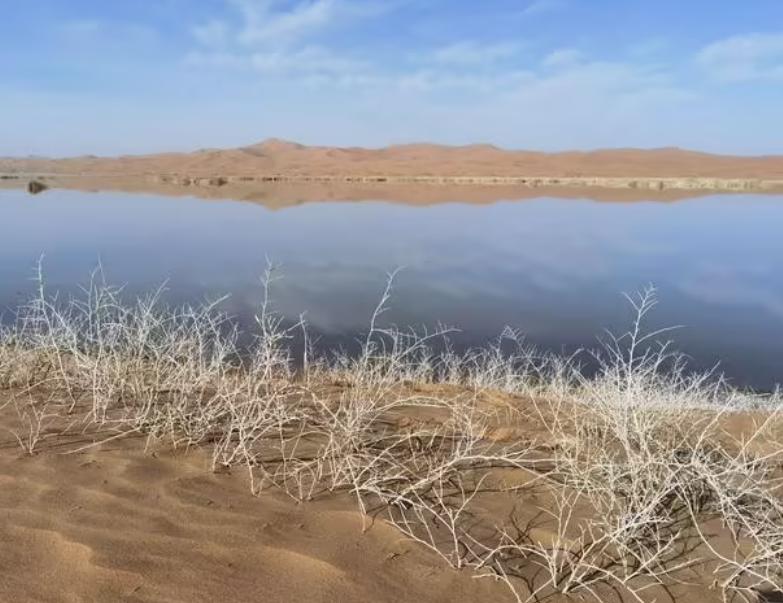 阿拉善地区“十二五”期间生态环境保护政策_内蒙古阿拉善地区生态环境状况_阿拉善常年气候变化规律