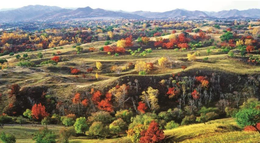 内蒙古阿拉善地区生态环境状况_阿拉善地区“十二五”期间生态环境保护政策_阿拉善常年气候变化规律