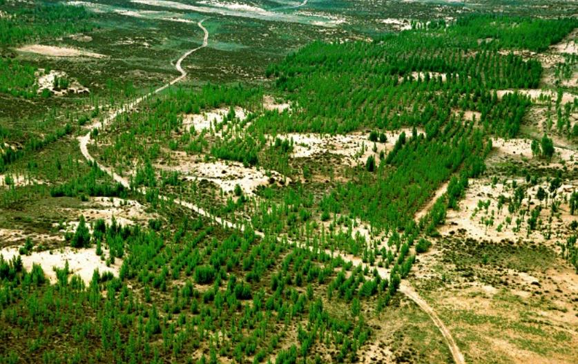 内蒙古阿拉善地区生态环境状况_阿拉善常年气候变化规律_阿拉善地区“十二五”期间生态环境保护政策