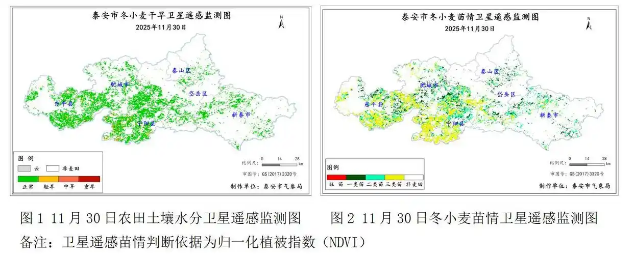 泰安本地气候特征详解_泰安市冬小麦越冬期预测及田间管理建议_泰安冬季气候预测与影响建议
