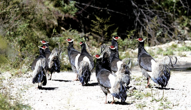 长治市地理位置范围_长治常年气温变化规律_长治市地质地貌特征