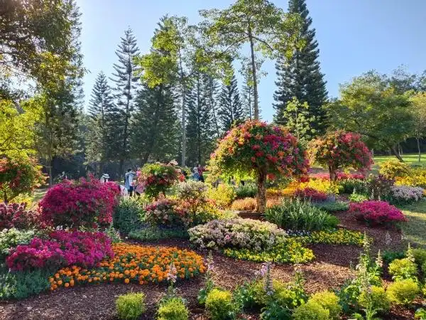 广州常年气温变化规律_广州12月气温偏低预测_广州12月降雨偏少趋势