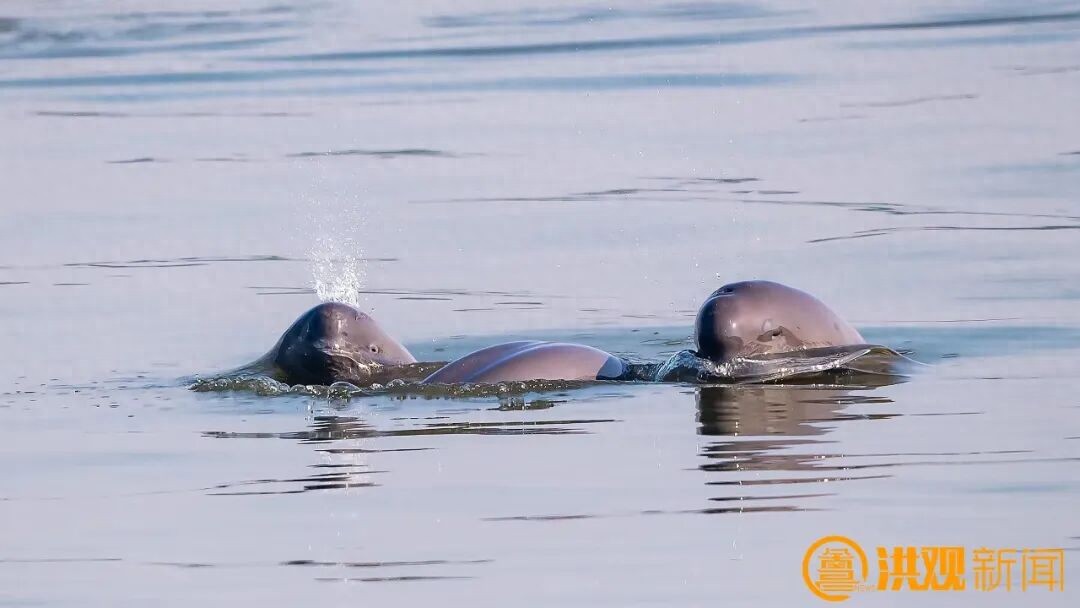 南昌常年气候变化规律_南昌美丽河湖_南昌生态文明