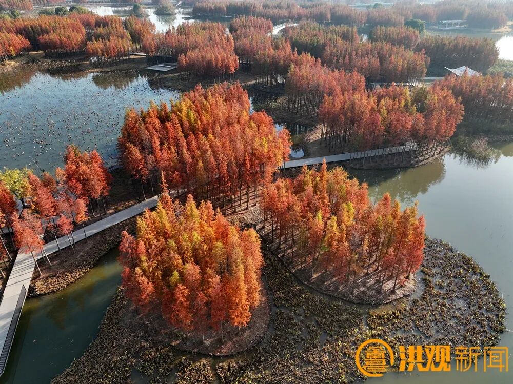 南昌生态文明_南昌美丽河湖_南昌常年气候变化规律