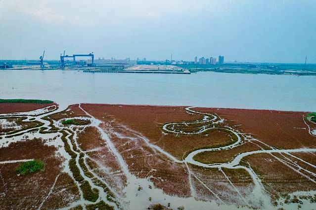 营口西炮台遗址旅游攻略_营口本地气候特征详解_辽宁团山国家级海洋公园旅游攻略